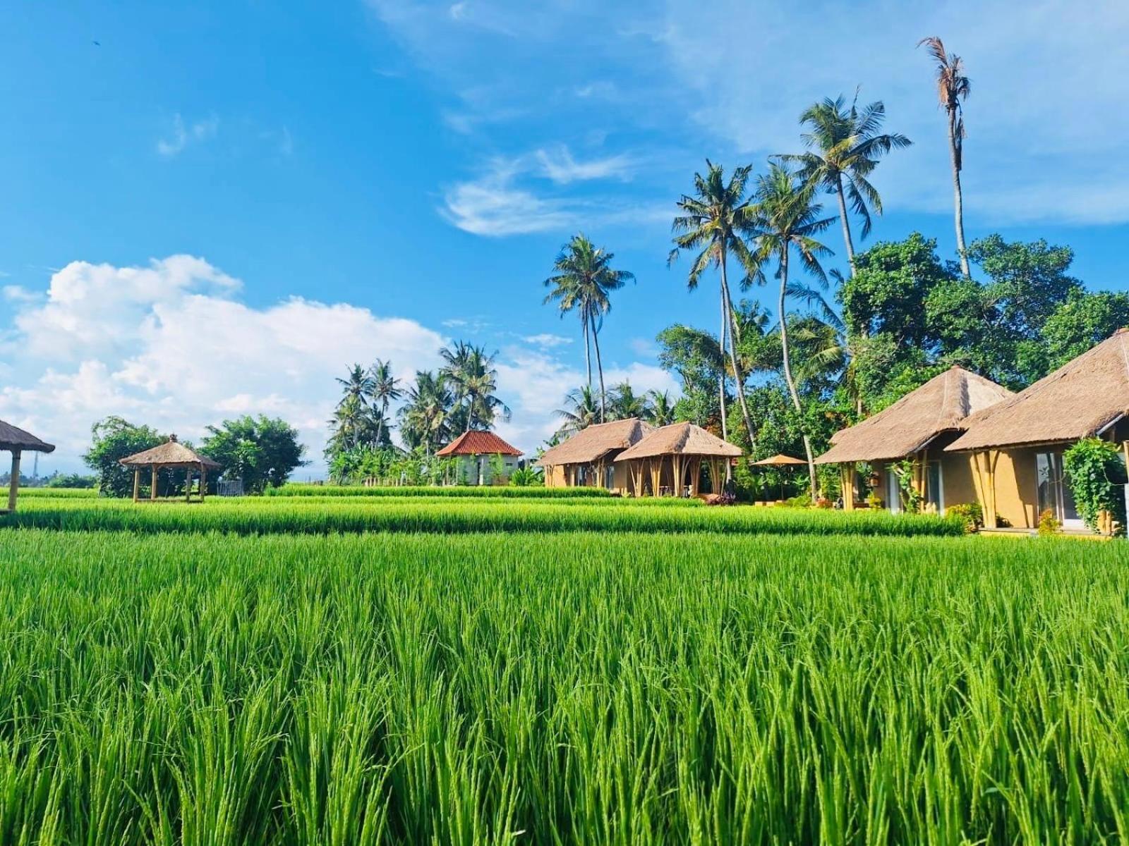 Rumah Kita Ecolodge Убуд Экстерьер фото