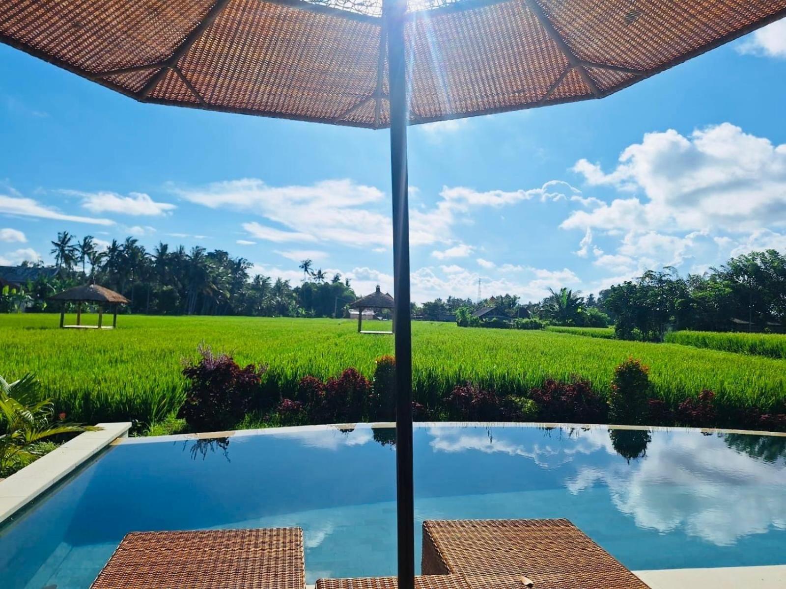 Rumah Kita Ecolodge Убуд Экстерьер фото