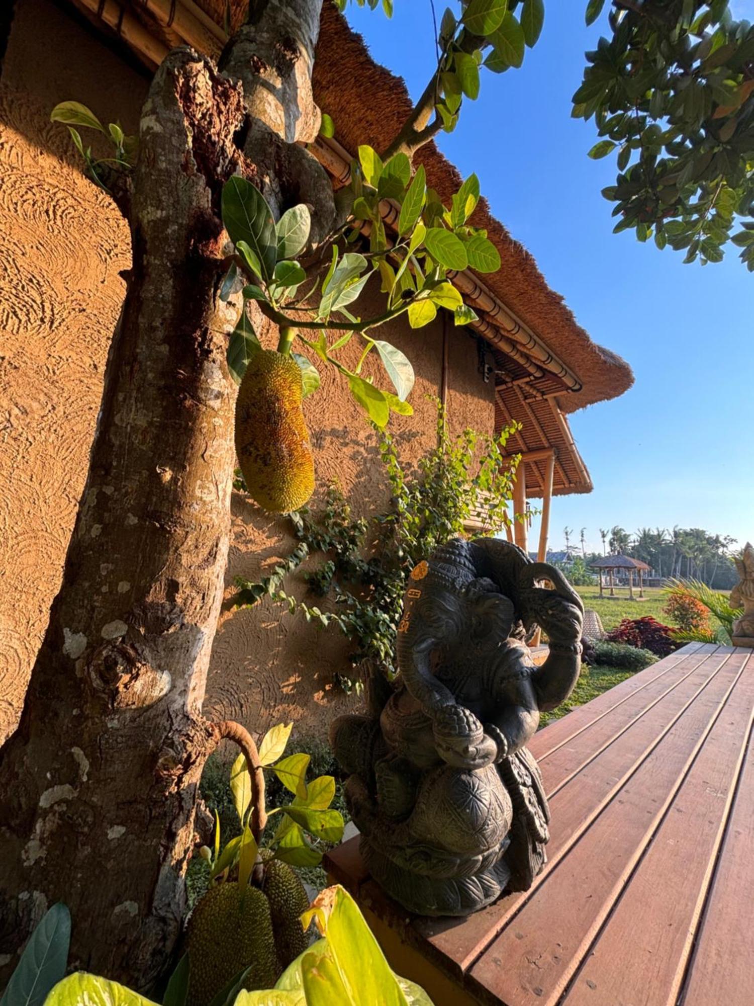 Rumah Kita Ecolodge Убуд Экстерьер фото